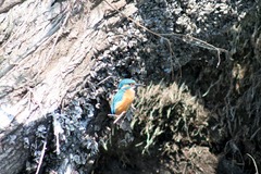 Killikus&reg; Fotographie